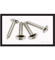 SS Self Tapping Screws – Stainless Steel Type AB/A Sheet Metal Screws for Thin Metal and Plastic – A2/A4 Grade 304/316, Pan, CSK, Hex Head, Passivated Finish, Metric and Inch Sizes